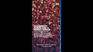 Central Wisconsin cranberry growers say family traditions are strong as harvest continues [upl. by Festa]