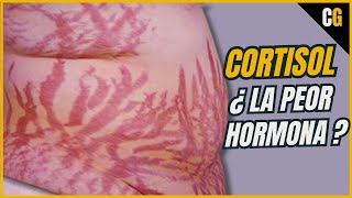 Cortisol  ¿La PEOR Hormona de Todas  Síndrome de CUSHING y Efectos del CORTISOL Estrés 22 [upl. by Isnyl904]