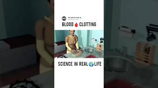 Process of Blood🩸Clotting  Blood Ki Clotting Kaise Hoti Hai bloodstrike colotting bloodclotting [upl. by Etnuahs]