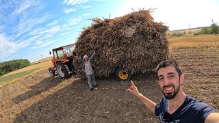 ADUNĂM COCENII DE PORUMB PENTRU ANIMALE  AM FĂCUT PANĂ LA TRACTOR [upl. by Donegan]