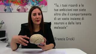 Riflessioni sul cervello e la nostra identità chi siamo noi [upl. by Bartolome]