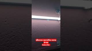 How you get light in ur youtubevloggers vlog life shortvideo subscribe funny myvideo light [upl. by Soulier25]