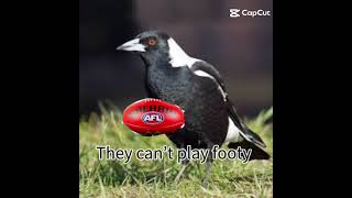 For the record guys I didnt make this video saw it on capcut 🤣❤️💙💛uncaged brisbanelions afl [upl. by Akimet]