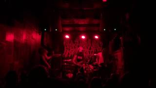 Blood Incantation  Vitrification of BloodHidden Species  Live 2016 NYC [upl. by Carmelle42]