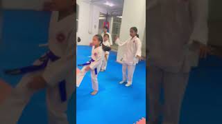 KARATE CLASS Part11 shorts karate [upl. by Carlock93]