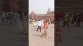 November 10 2024 Lal kila ka delhi shortvideo [upl. by Eraste]