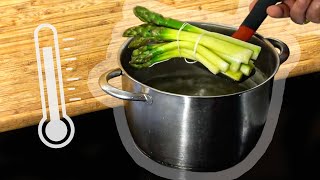 Technique de Cuisson des Asperges Vertes [upl. by Cornel155]