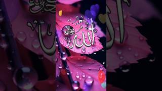 ya Allah ya Rasool Karo Meri tauba qabool [upl. by Eenrahc]