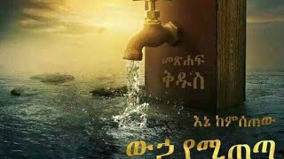 Habtam Tube duet habesha ethiopia music september18 [upl. by Fillender]