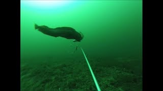 Fishing with GoPro in Norway [upl. by Eloci]