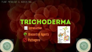 Trichoderma  Biological Agent agent  Protect Plants  Medical and Industrial uses [upl. by Oisor854]