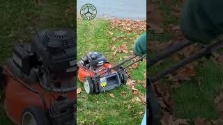 Mulching a thick layer of oak tree leaves [upl. by Benoit]