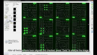 Glycan Microarray Analysis using GenePix Pro [upl. by Sinnek]