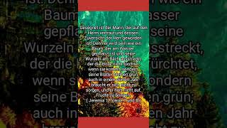 jesuschristus liebe bibelvers sprüche bibel gebet zitate gedanken verse jesus gebet [upl. by Ahtnammas]