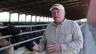 Black Gold Ranch and Feedlot  Steve Foglesong [upl. by Meehahs]