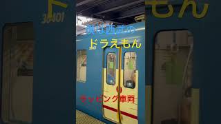 西武鉄道 ドラえもん ラッピング車両 本編もいろいろあるよ みてね💕︎ [upl. by Horvitz276]