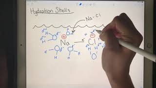 Water Chemistry Hydration Shells [upl. by Aihtnyc725]