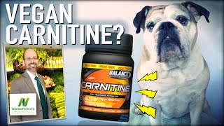 Carnitine Carnosine amp Creatine OH MY  Dr Michael Greger of Nutritionfactsorg [upl. by Emaj508]