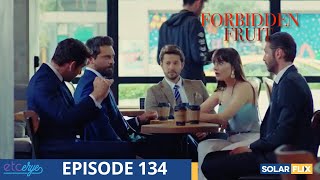 Forbidden Fruit Episode 134  FULL EPISODE  TAGALOG DUB  Turkish Drama [upl. by Anerys760]