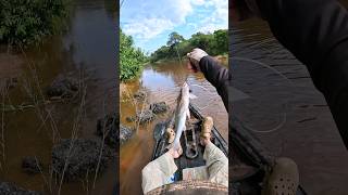 Pescando Blanquillo kayaktunapro blanquillo [upl. by Eilliw]