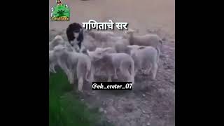 PT च्या तासाला ग्राऊंड वर जाताना माझे मित्र😅फाॅलो कराokcretor07 funny comedy funnycomedy [upl. by Annekim807]