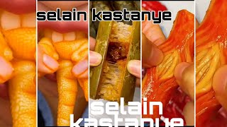 selai kastanye part 1tik tok Indonesia Bahasa Indonesia [upl. by Delos]