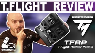 Thrustmaster TFlight Rudder Pedals Review  Microsoft Flight sim 2020  XP11  DCS [upl. by Bambi]