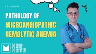 Microangiopathic Hemolytic Anemia  Pathology [upl. by Cletus]