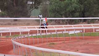 Charleville 20241105 Race 5 [upl. by Liponis]