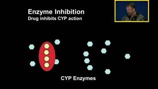 Biotransformation Enzyme Inhibition and Induction [upl. by Eisiam]