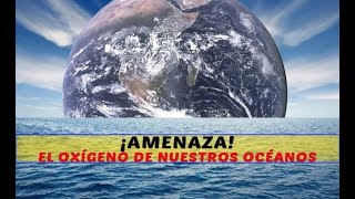 ¡AMENAZA EL OXÍGENO DE NUESTROS OCÉANOS [upl. by Lam618]