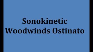 Sonokinetic Woodwinds Ostinato Walkthrough [upl. by Iahc]