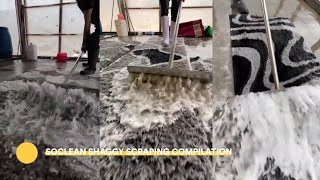 SHAGGY Scraping Compilation  Satisfying Carpet Cleaning  SoCleanAladdin [upl. by Ahsilet17]