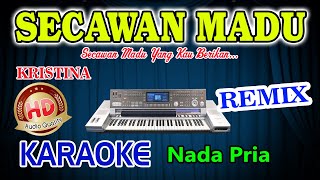 Secawan Madu Remix Karaoke Artis HD Audio Nada Pria [upl. by Gillmore]