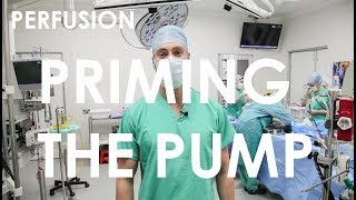 Priming The Pump  Perfusion [upl. by Gnouhk170]