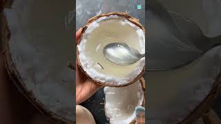 Fact about coconut streetfood food foodie coconut amazingfacts new trending dastan latest [upl. by Yerocaj221]