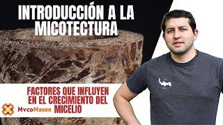 6 FACTORES QUE INFLUYEN EN EL CRECIMIENTO DEL MICELIO [upl. by Odel]