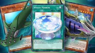 Shark Combos YuGiOh Master Duel [upl. by Dempstor]