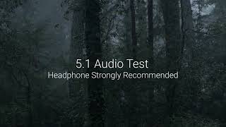 51 Audio Test  Dolby 51 Surround Sound Test [upl. by Andi]