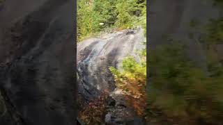 Highest Trestle in Agawa Canyon Tour Train in colourful rocky Canadian Shield shorts [upl. by Tterb]