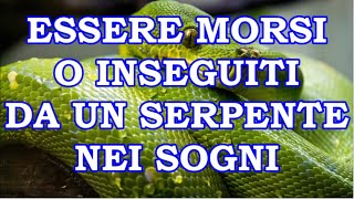 ESSERE MORSI O INSEGUITI DA UN SERPENTE 🐍 NEI NOSTRI SOGNI  SIGNIFICATO [upl. by Oswell]