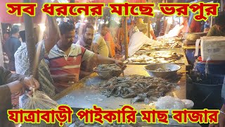 মাছে ভরপুর যাত্রাবাড়ী পাইকারি মাছ বাজার  Fish Market amp Fish Prices 12 November 2024  My Life [upl. by Anor140]