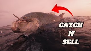 CATCH N SELL  SPEARFISHING PHILIPPINES  BLUE FIN TREVALLY  BANTON ROMBLON 😱 [upl. by Eelahs]