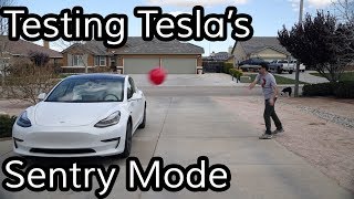 Does Teslas Sentry Mode Work [upl. by Kat389]