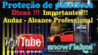 Audaz da Alcance  Proteção dos plásticos internos  SnowFlakes [upl. by Ursas686]