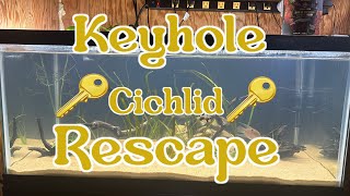 Keyhole Cichlid Tank Rescape [upl. by Pincus]