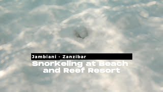 Snorkeling at Jambiani Reef Zanzibar [upl. by Kacey]