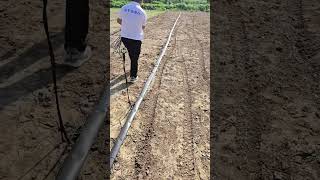 sprinkler system oscillating sprinkler irrigation control shorts supplier lifehack crop land [upl. by Jessica]