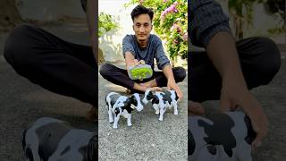 Rc Remote Control Two Cow Unboxing 🐄🔥 [upl. by Norris]