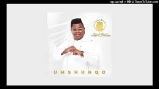 Dladla Mshunqisi  Cothoza ft Dj Target no Ndile Official Audio [upl. by Hinch364]